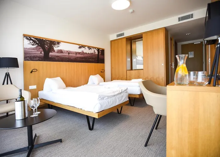 S-port Veska Hotel Dolany (Olomouc)